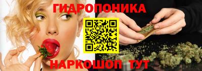 тгк Славгород