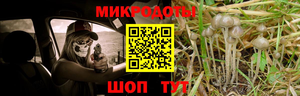 Галлюциногенные грибы прущие грибы  Вход с VPN  Россошь  Галлюциногенные грибы Cubensis 